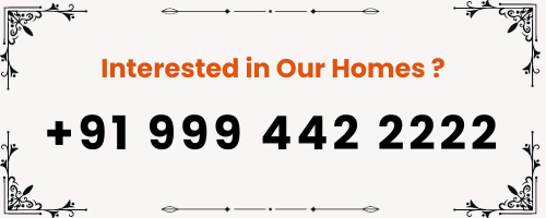 Call Now